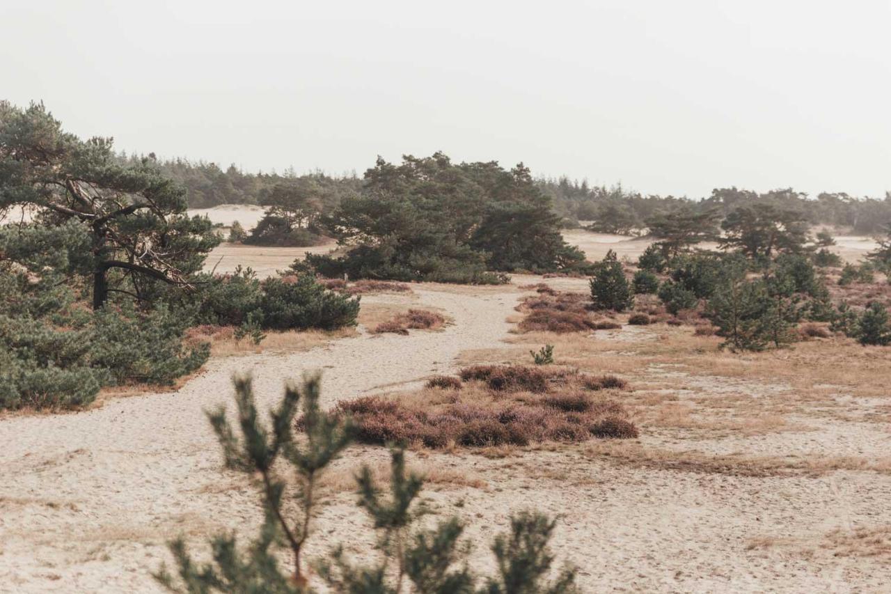 Boshuisje Op De Veluwe Нунспет Екстериор снимка