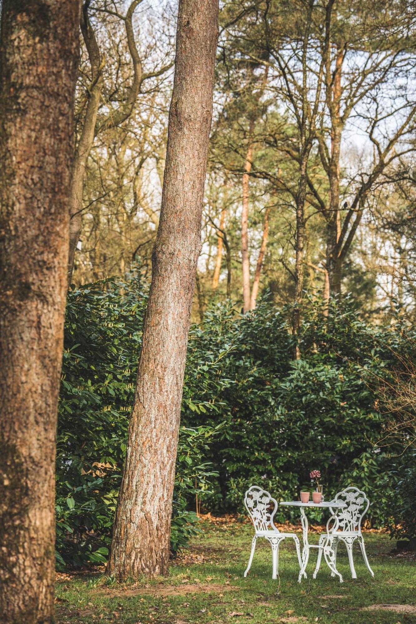 Boshuisje Op De Veluwe Нунспет Екстериор снимка